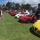 Illustration for article titled Alfa car show pic dump